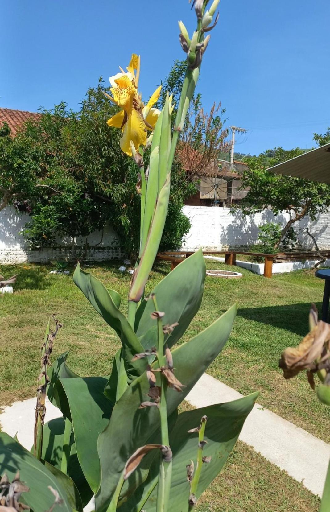 Casinha Holiday home